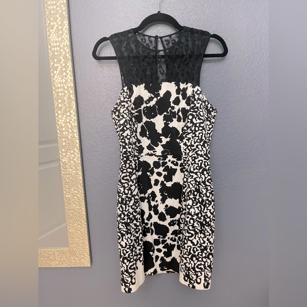 French Connection Black and White with Lace Accents